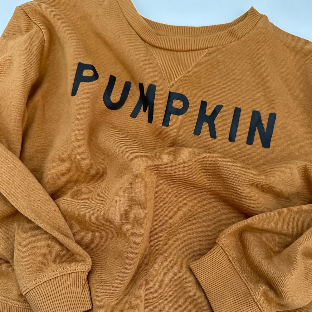 Toddler Pumpkin Sweatshirt